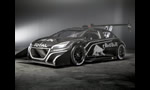 Peugeot 208 T16 Pikes Peak 2013